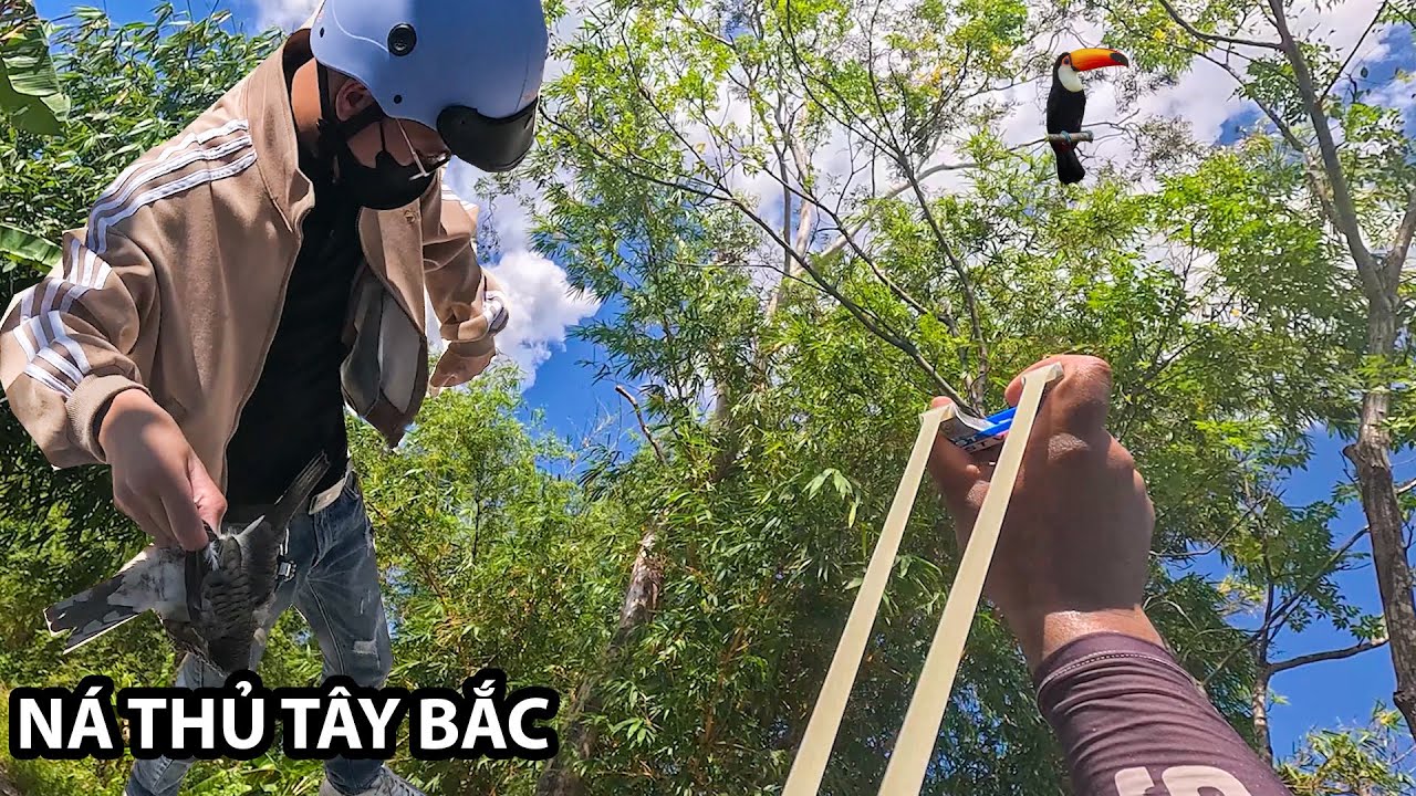 TÙNG VLOG Trổ tài bắn ná hạ hàng khủng lồ về đãi người Ae đến từ tây bắc