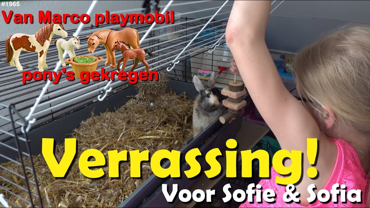 KONIJNEN KNABBELSTEEN voor SOFIE & SOFIA | Van MARCO wat PLAYMOBIL paarden gekregen  #1965