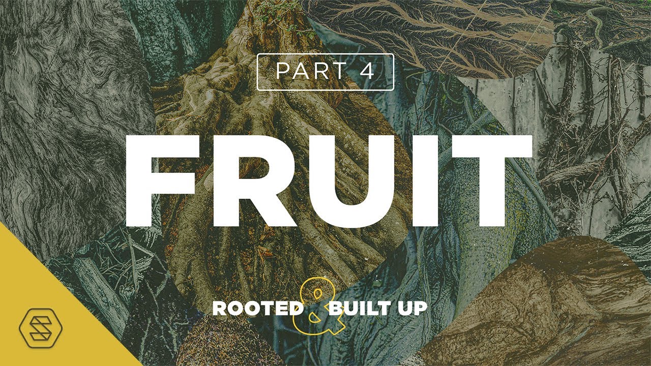 Fruit // David Asscherick