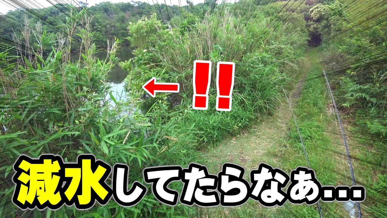 “仮にもし減水“したら神クオリティになる池が減水していた件。