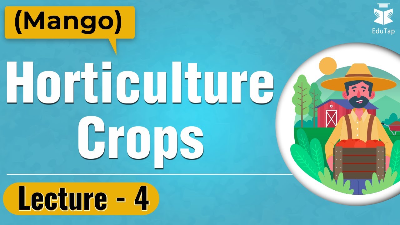 Everyday at 5 Series - Lecture 4 - Horticulture Crops (Mango)