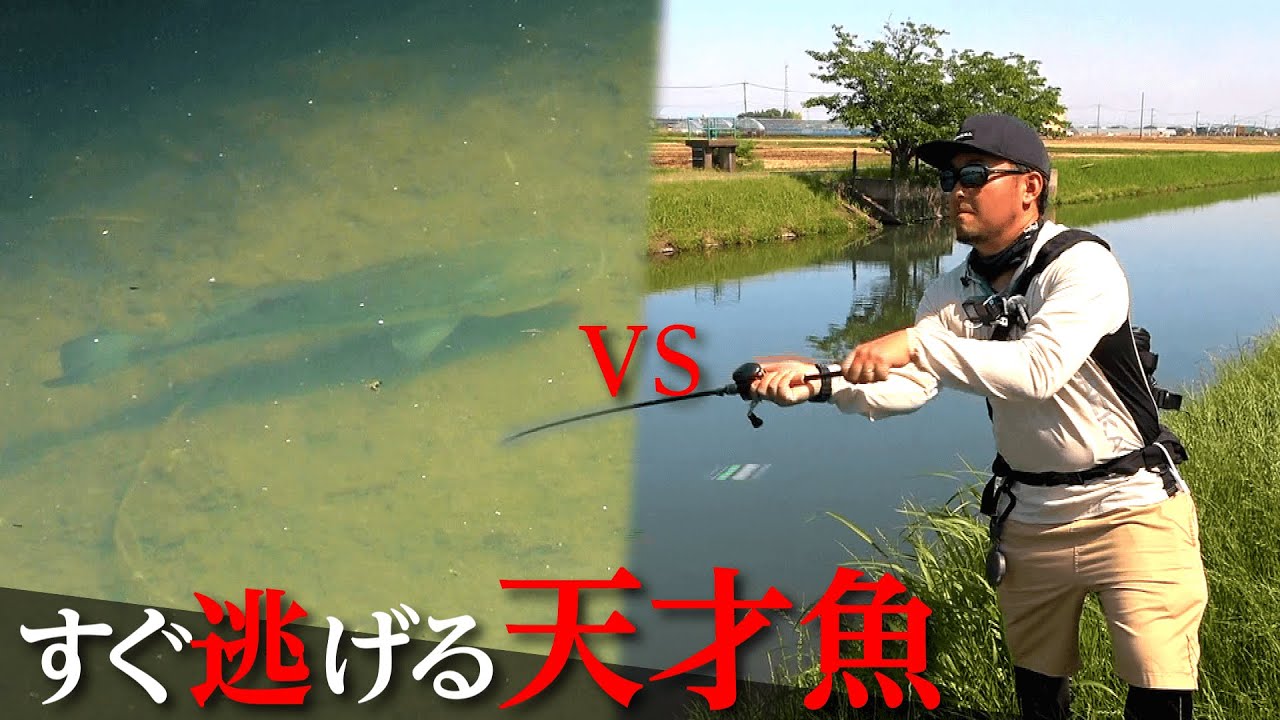 これが柳川クリークの天才バス…。「あのテク」使ったら次々と狂いだした！！