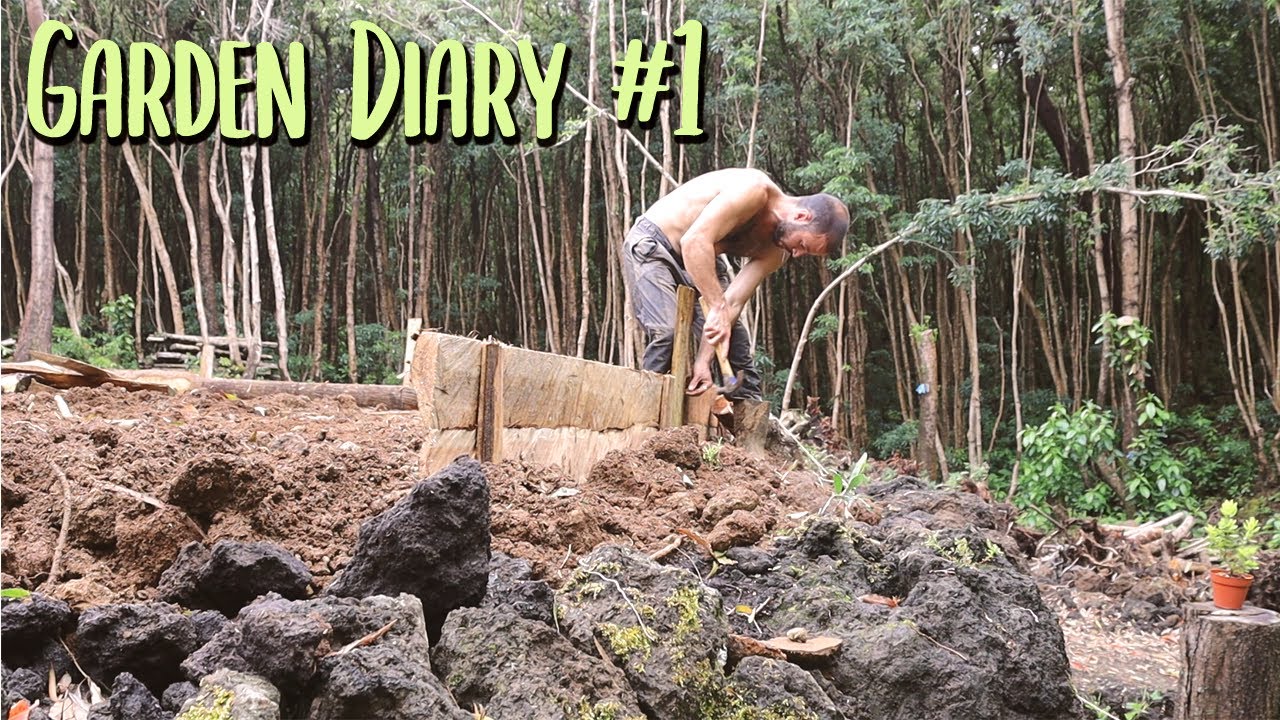 🌱Garden Diary #1 | Let's Start the Garden | Raised Bed Build