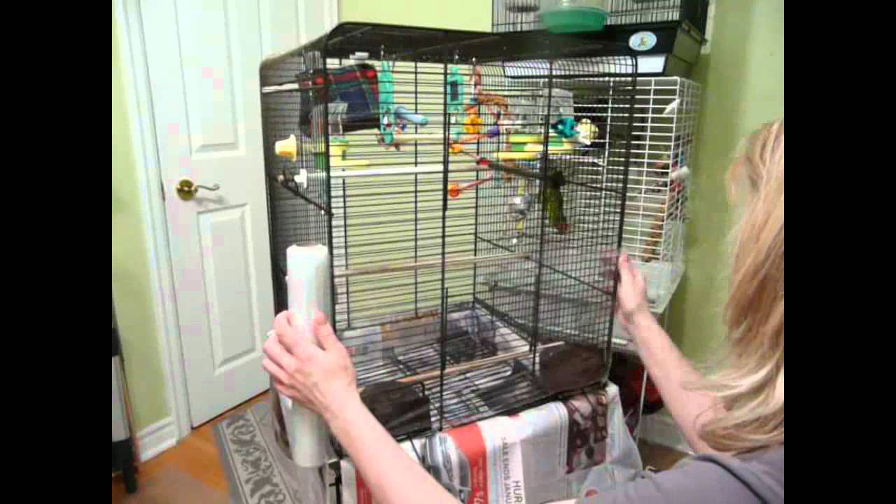 Cleaning the Bird Cages: 9 Cages To Clean