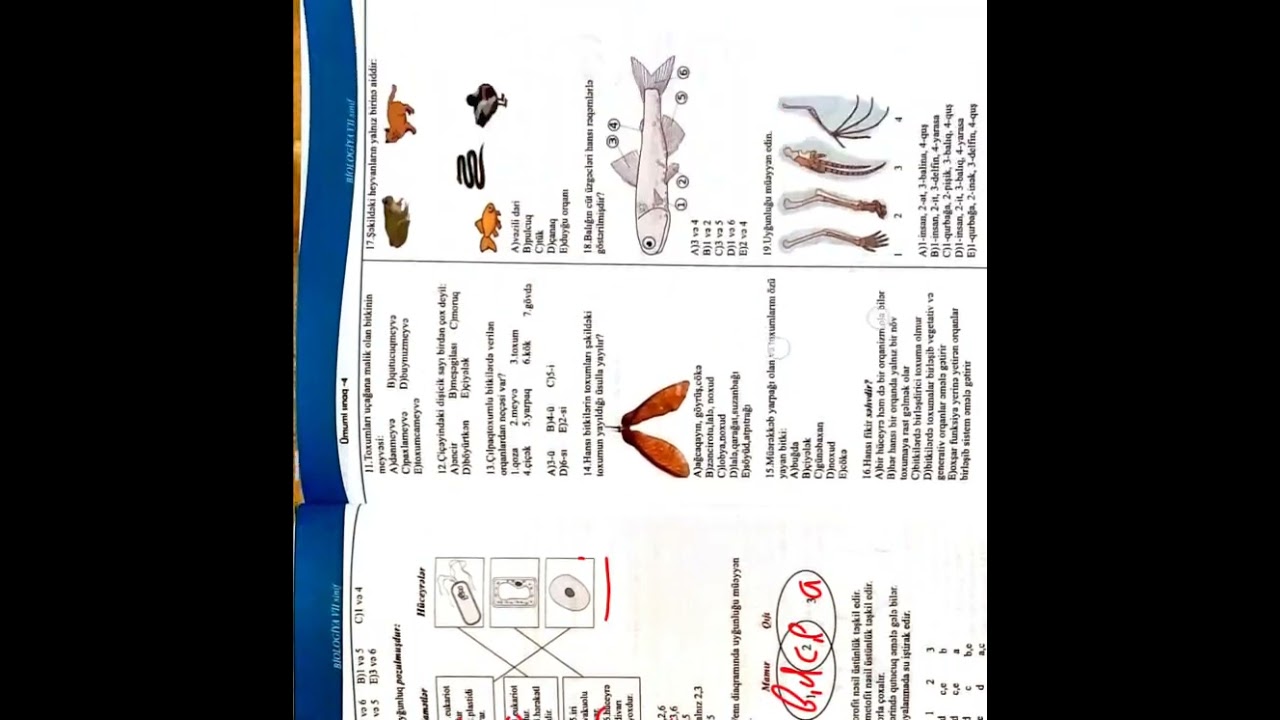 2026 Biologiya Rfm hazırlıq Sınaq N 4#keşfet #education#keşfet #kəsfet #keşfetbeniöneçıkar #biology 