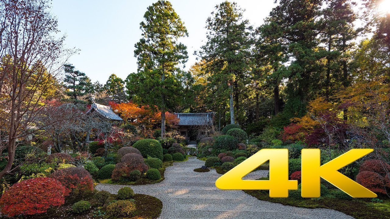 Ryotan-ji Temple - Shizuoka - 龍潭寺 - 4K Ultra HD