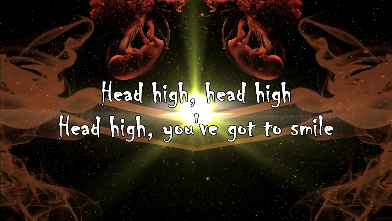 Head Down (Soundgarden) - cover by smandert