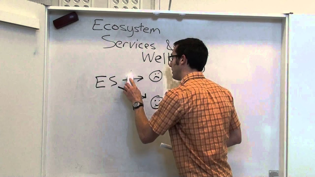 Ecosystem services and human well-being