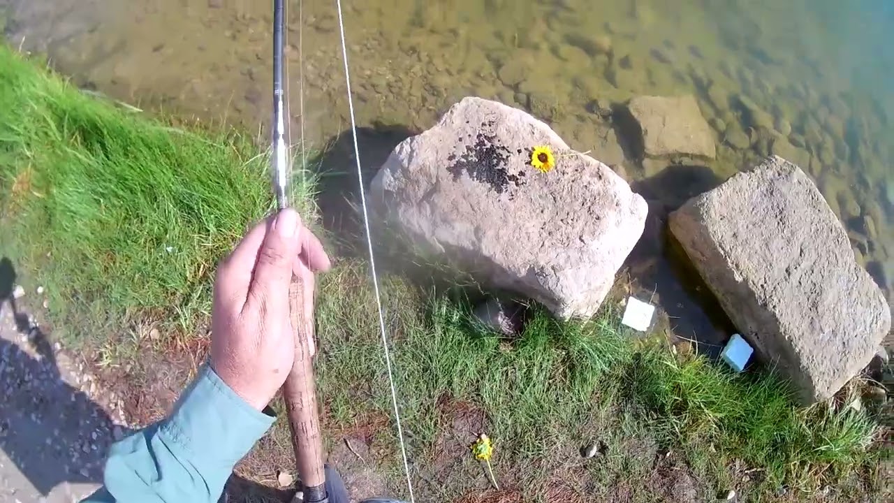 FLY FISHING FOR BASS IN A SMALL POND IN UTAH