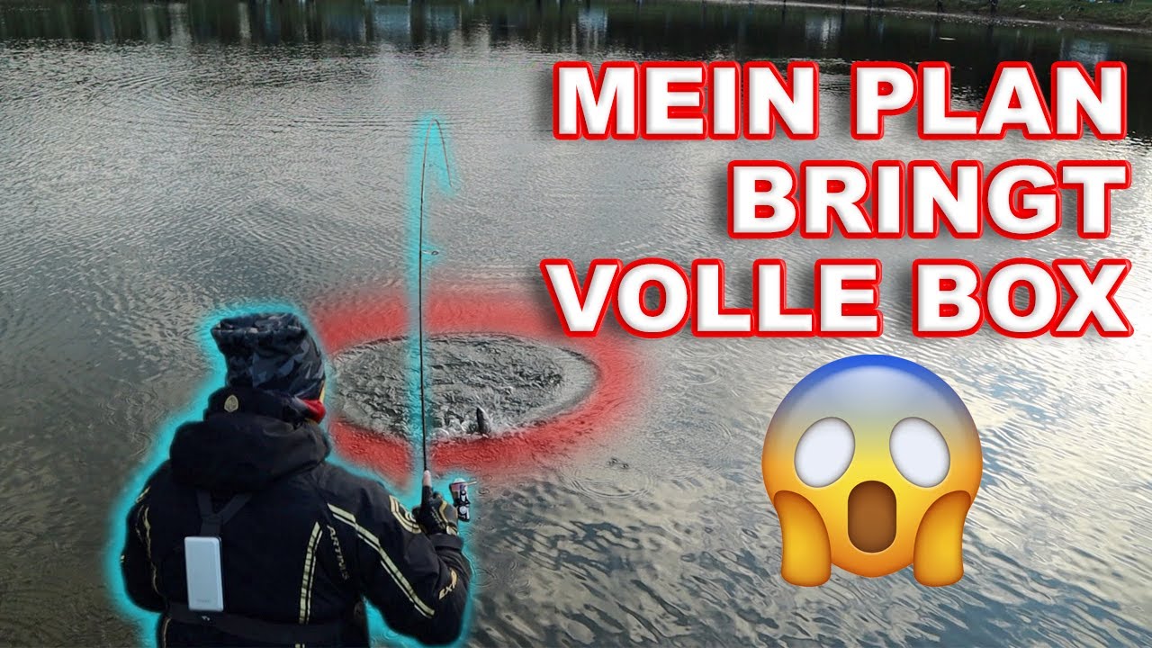 Forellenangeln am Almsee | Das Event