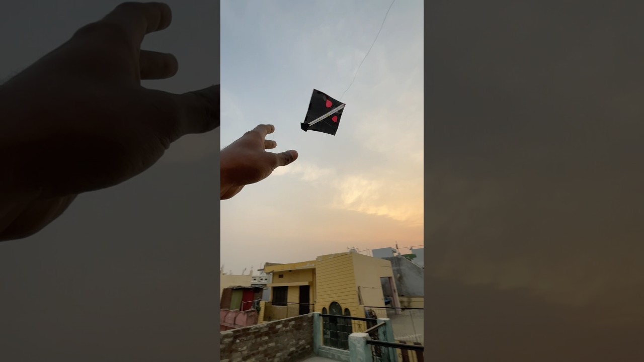 Kite looting in this video | Krishna kite official | 