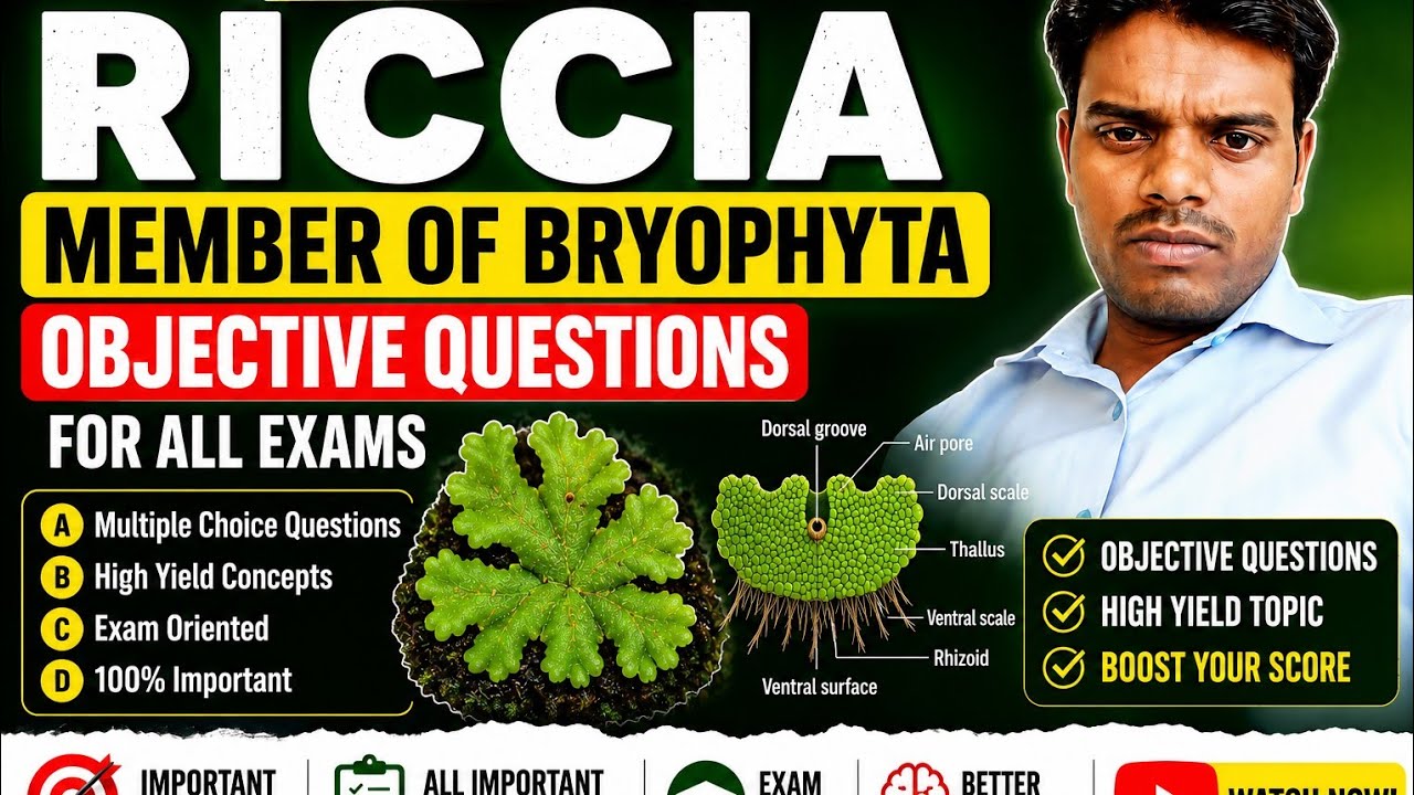 Riccia member of bryophyta 