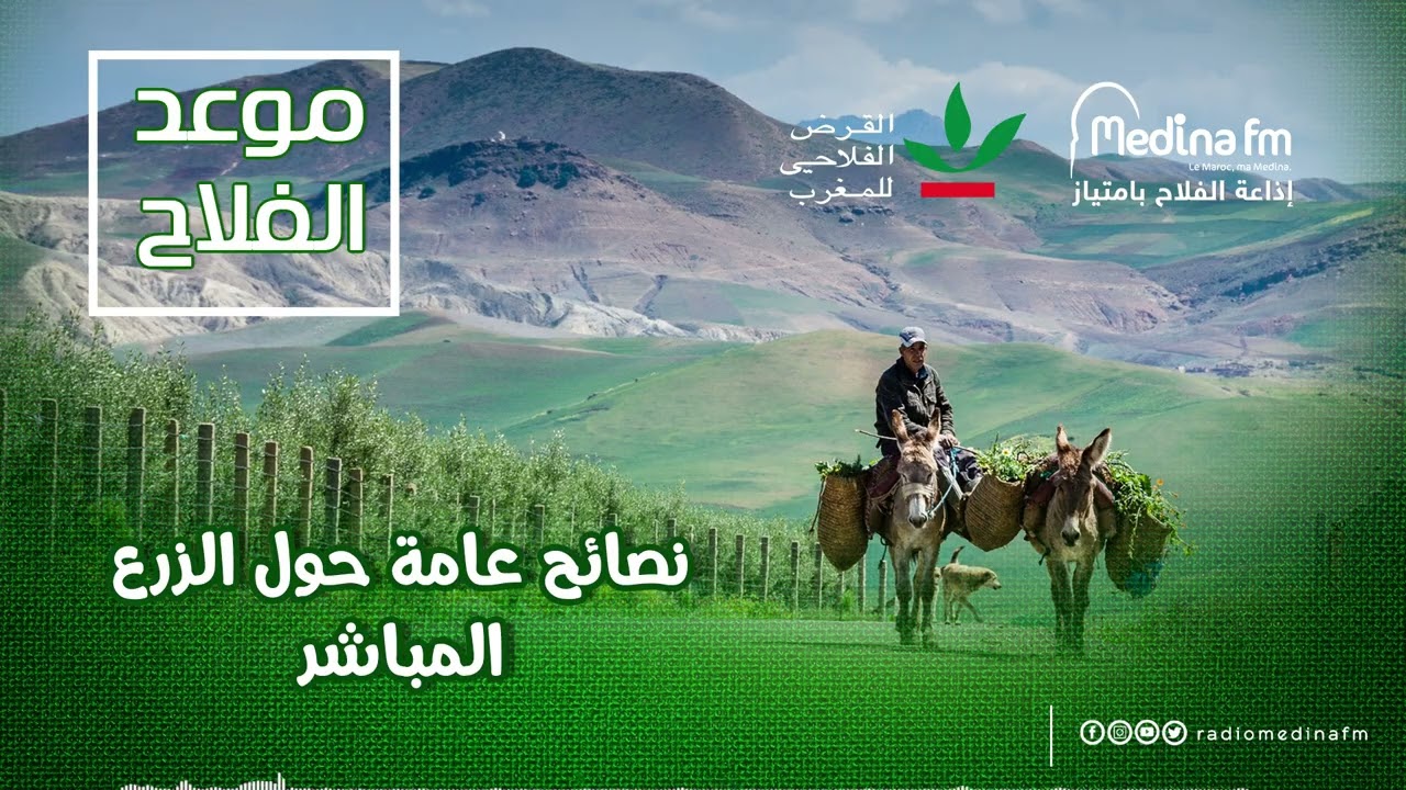 نصائح عامة حول الزرع المباشر