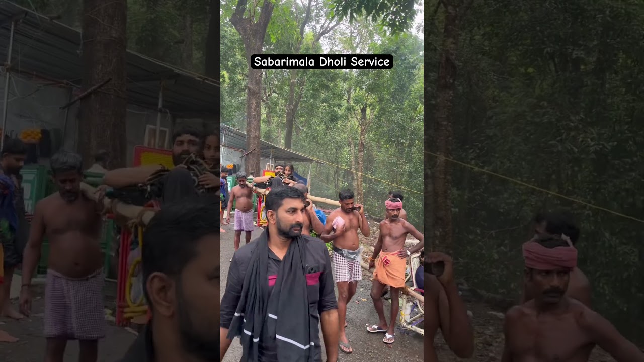 Sabarimala Ayyappa Swamy Temple Updates | Daily News | Pallikattu Sabarimalaiki Whatsapp Status fyi