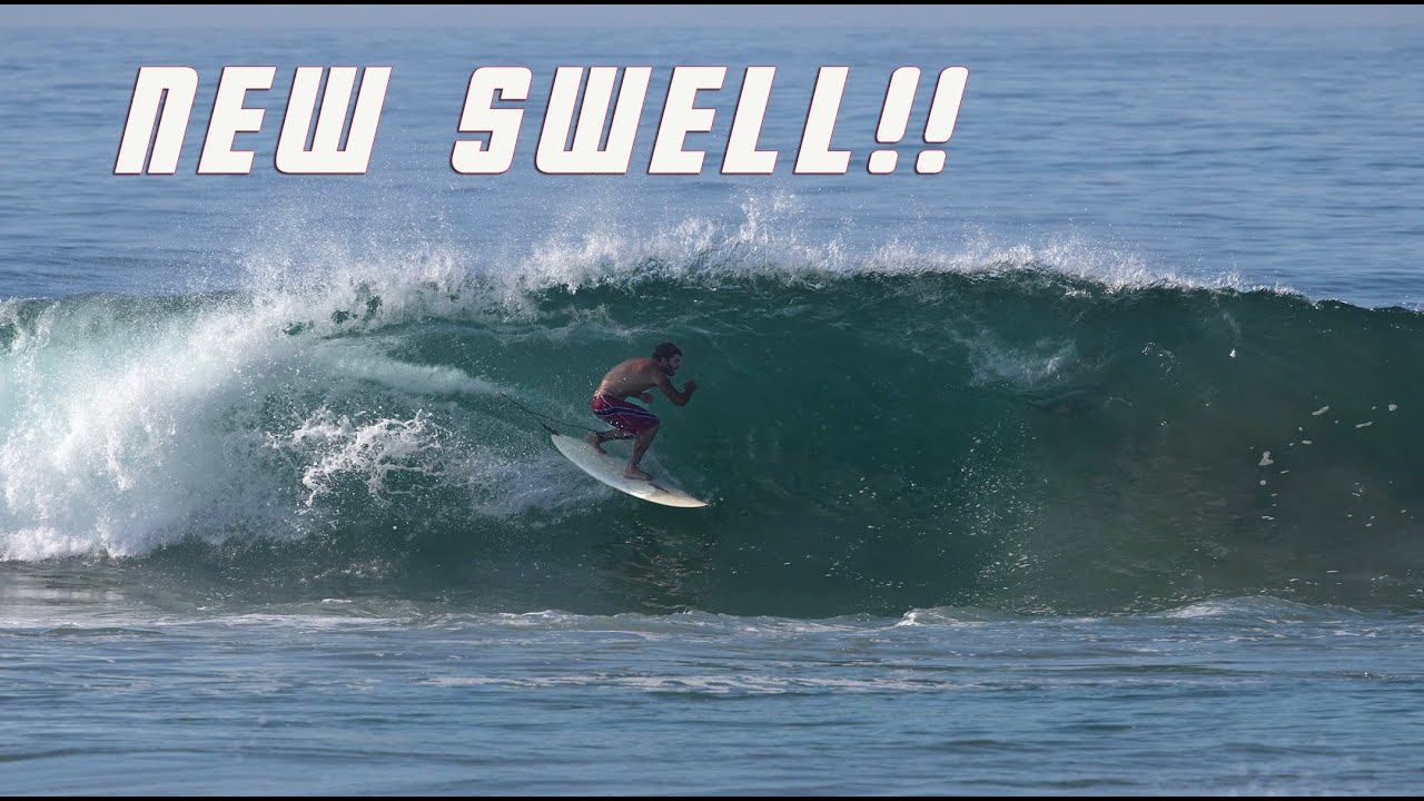 Newport Delivered: Surfers, Sunrise & Chaos on the Beach