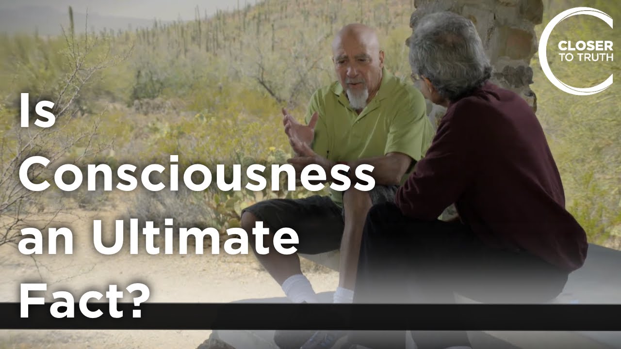 Stuart Hameroff - Is Consciousness an Ultimate Fact?