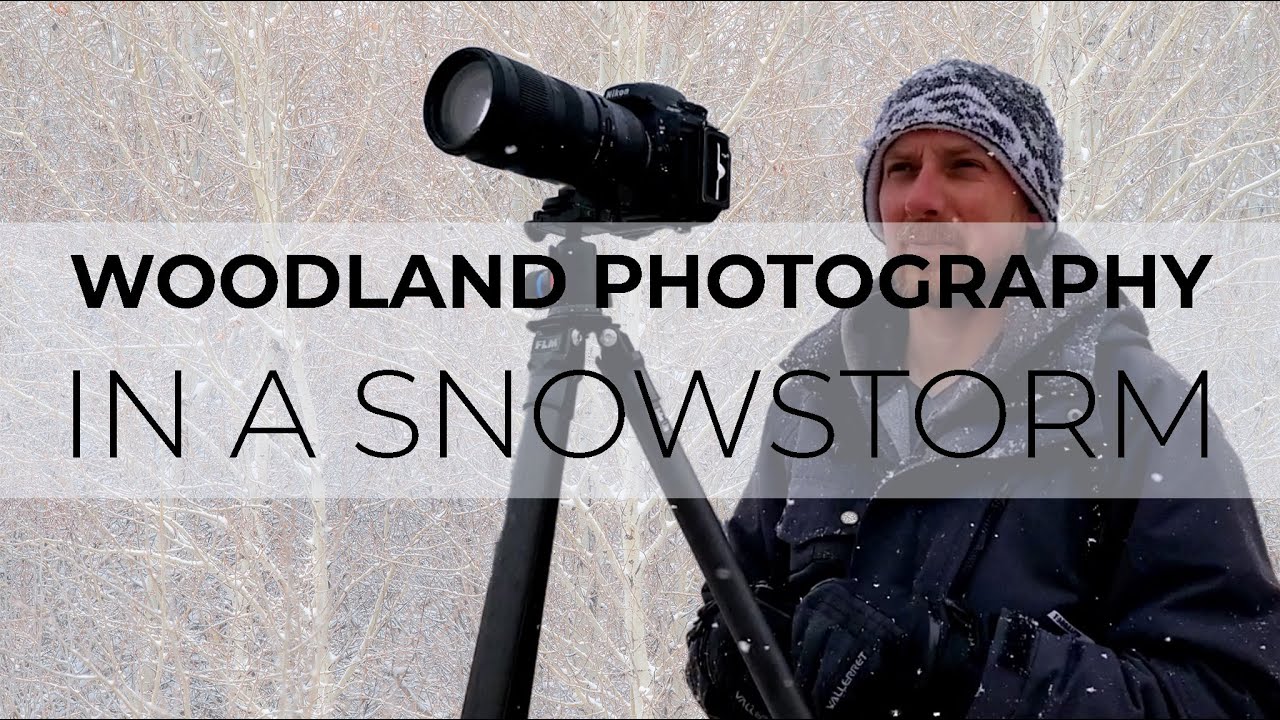 Woodland Photography in a Snowstorm | Exploring Wascana Trails