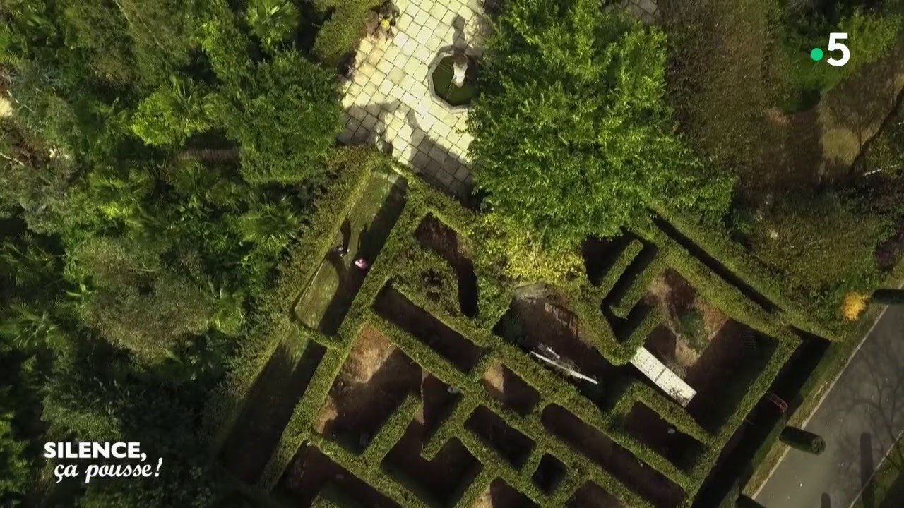 Visite de jardin : le jardin d'Albizia - Silence, ça pousse !