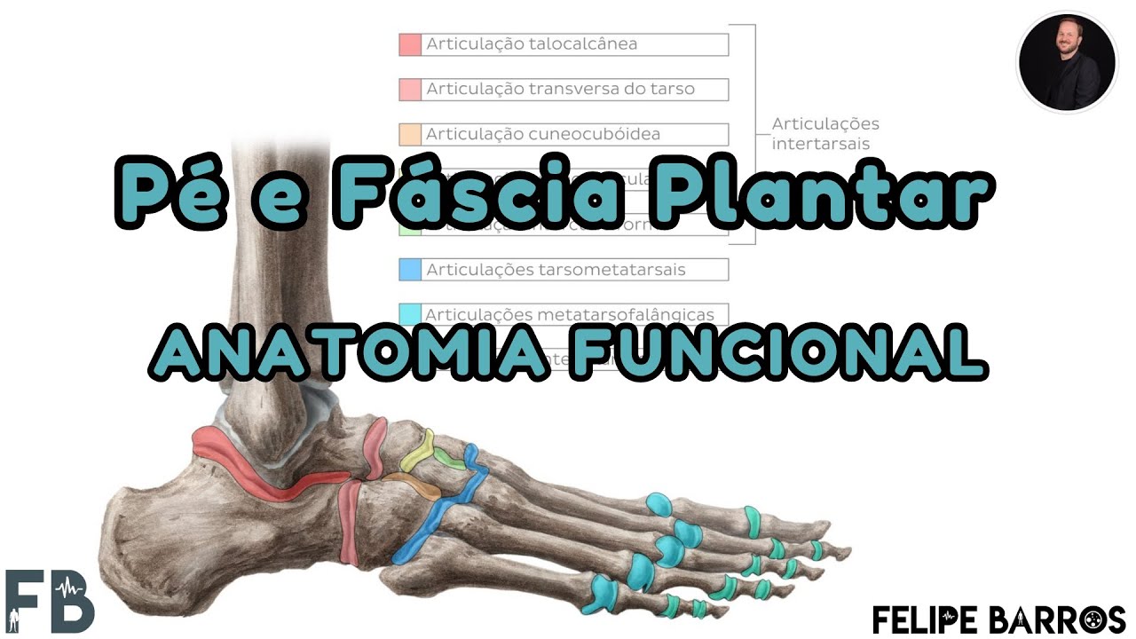 Ligamentos do p&eacute; e F&aacute;scia plantar - Estabilizadores do p&eacute; e tornozelo | Prof. Felipe Barros
