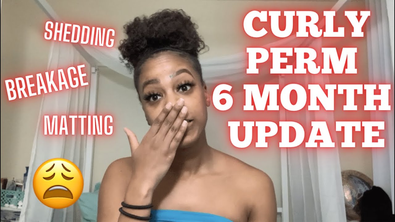 GINACURL Curly Perm 6 MONTH UPDATE // Shedding, Breakage, Matting...