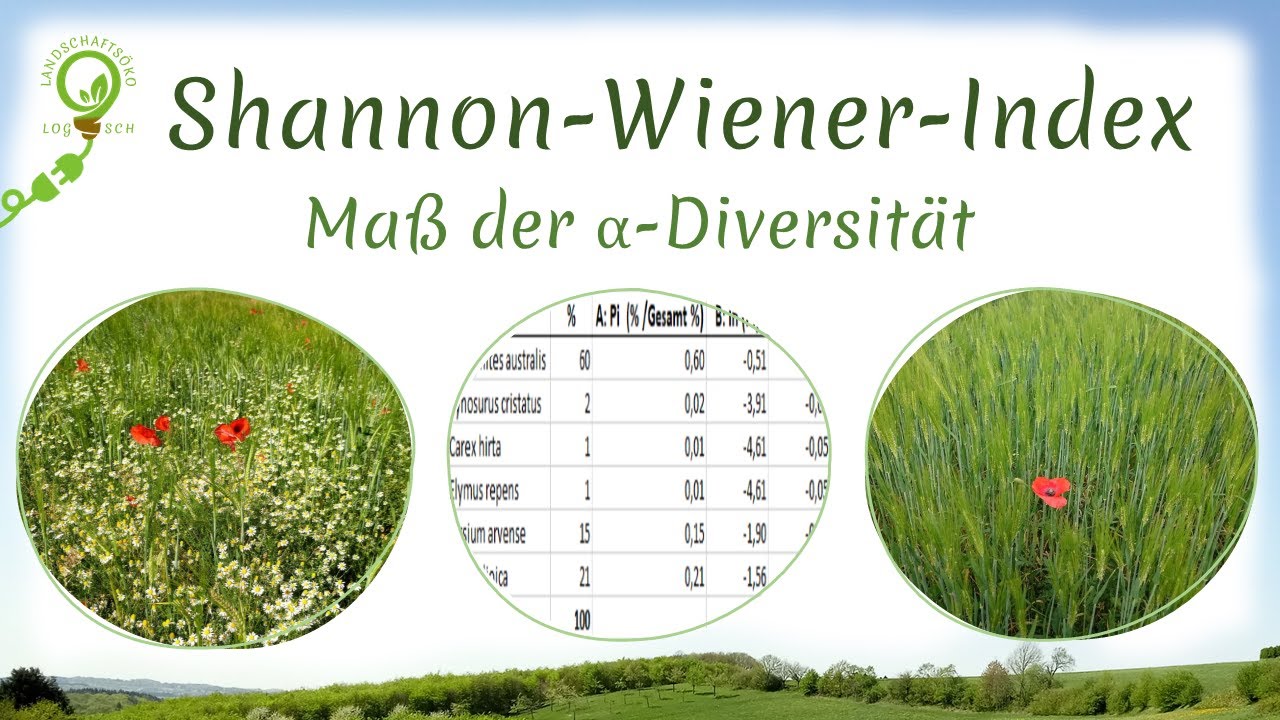 Shannon-Wiener-Index (Alpha-Diversitäts-Maß): Berechnung | Anwendung | Grenzen und viiiele Beispiele
