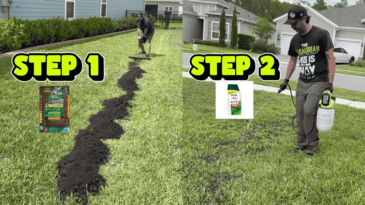 Lawn Fix In 2 Easy Steps