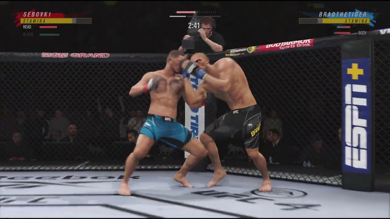 UFC4