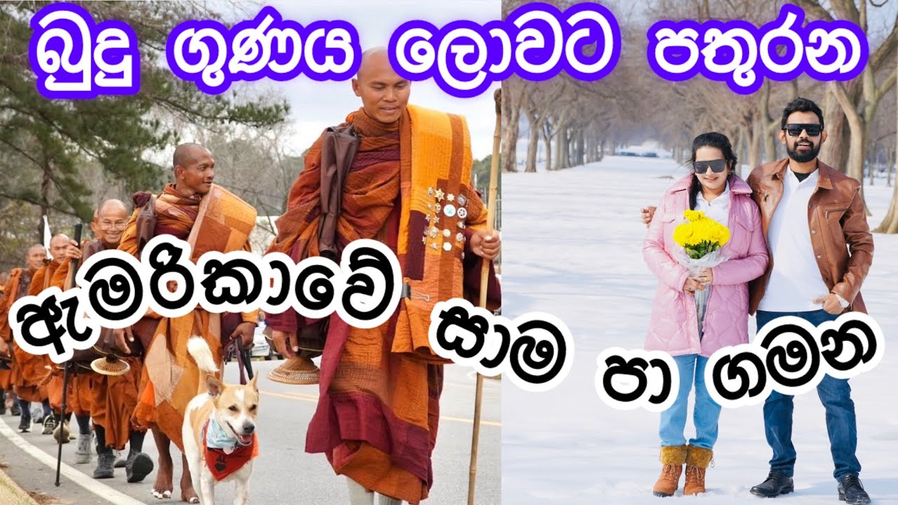 අපිත් සහභාගී වූ ඇමරිකාවේ බුදුගුණ පතුරණ සාම පා ගමන|🕊️❤️Walk for peace in america😍🙏🏻🕊️#walkforpeace 