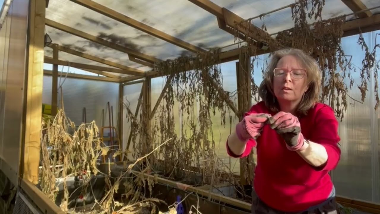 Gewächshausputz Beet 1 von 4| wenn Tiny's Kopf nicht mitmacht #02