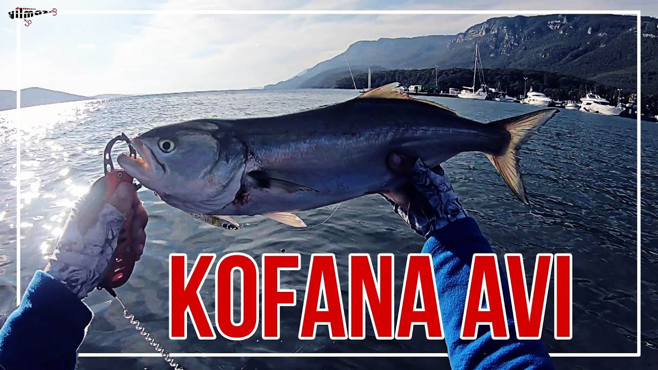 GÜZEL BİR KOFANA AVI
