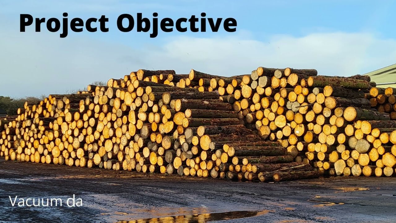 Wood Dust Management  - The Power of Wieland