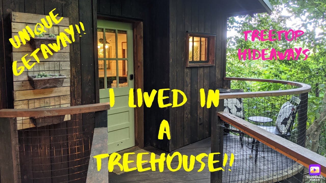 We Lived in a Treehouse | Treetop Hideaways | Explore Chattanooga