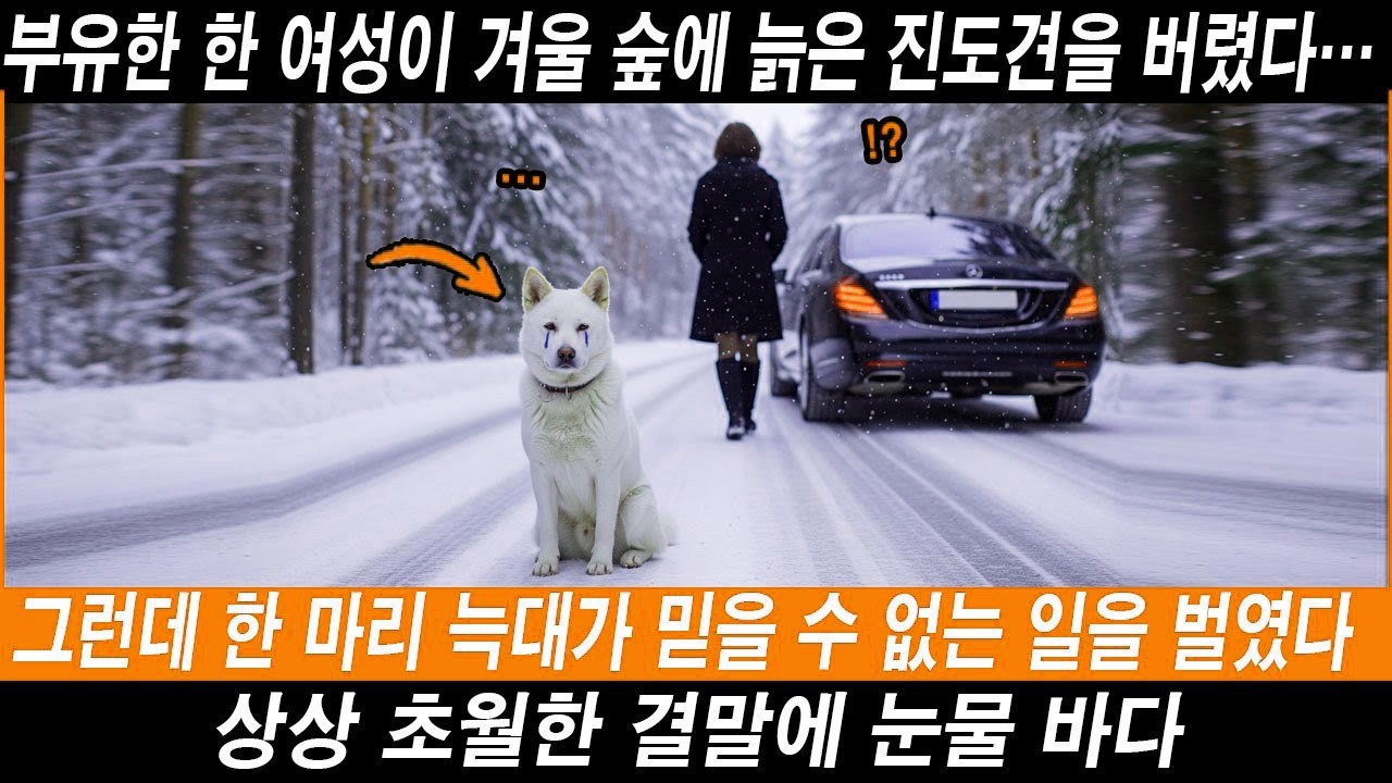 부유한 한 여성이 겨울 숲에 늙은 진도견을 버렸다… 그런데 한 마리 늑대가 믿을 수 없는 일을 벌였다 해외감동사연