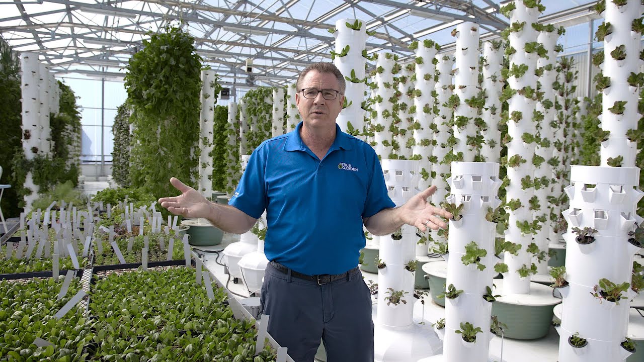 Commercial Farming with Tower Gardens | True Garden