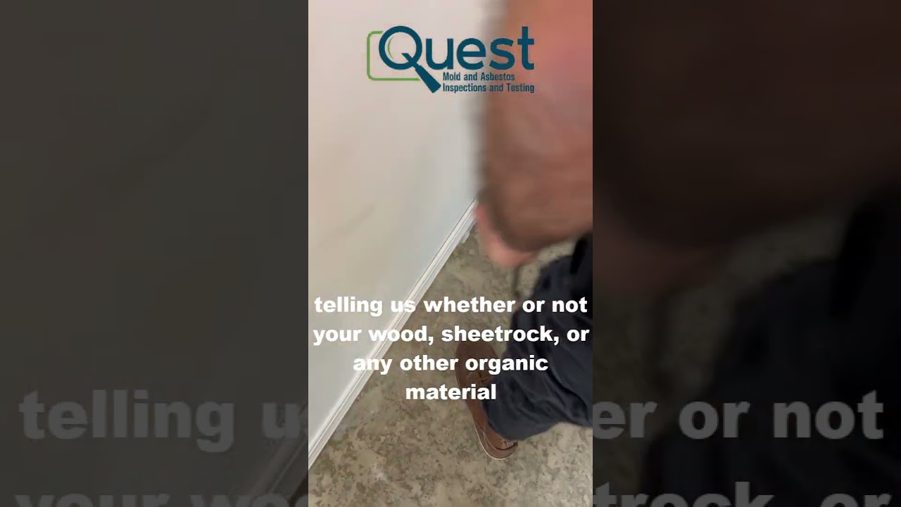 Moisture Meter being used in mold inspection (in-depth)