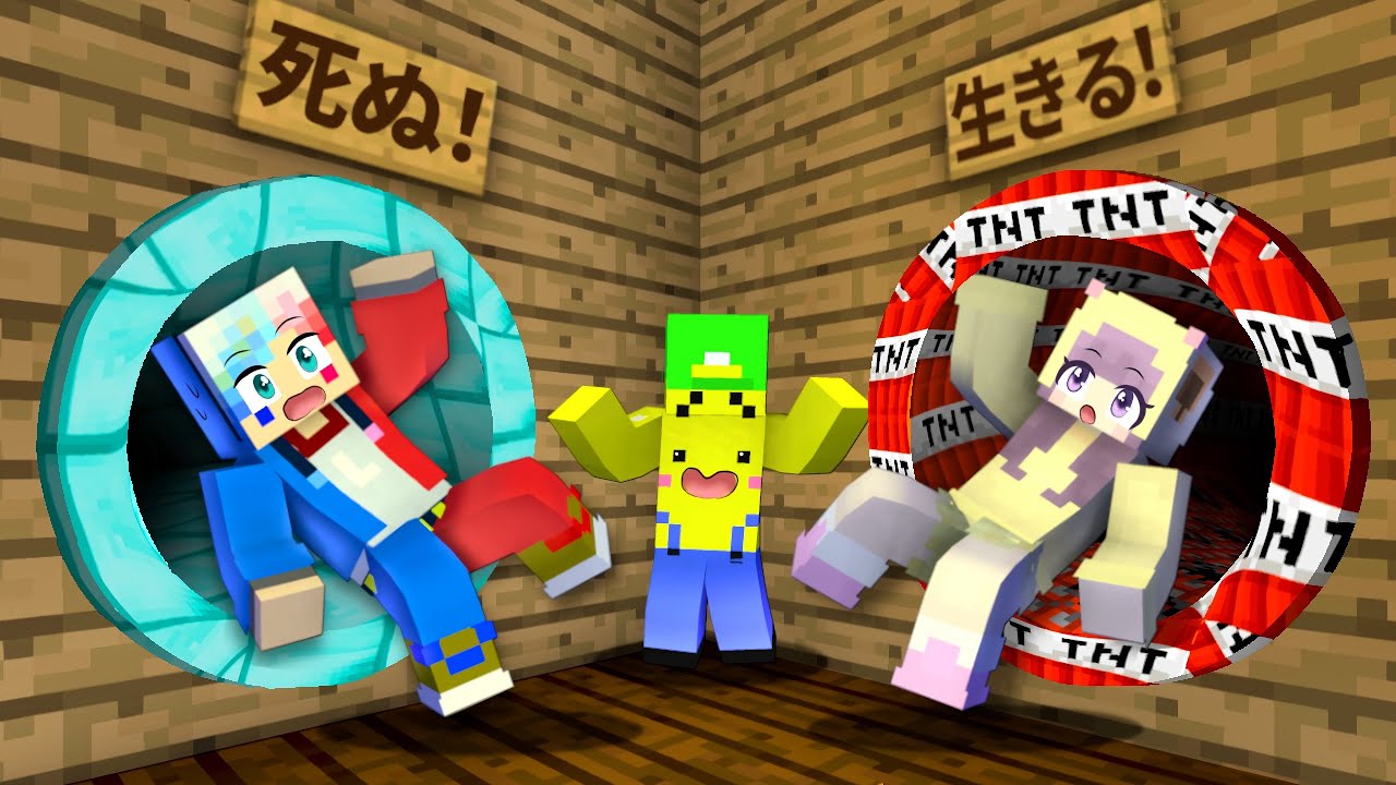 【間違えたら死ぬ⁉️😱】正しいスライダーを選ぶマインクラフト😨【マイクラ まいくら】ぽっぴんず