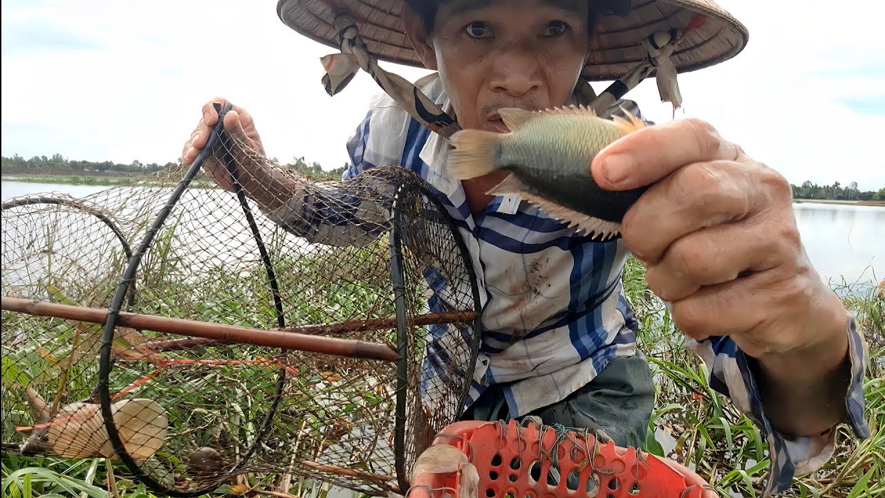 Thăm Lờ Cá Mùa Nước Nổi @TámCáVlog1979 