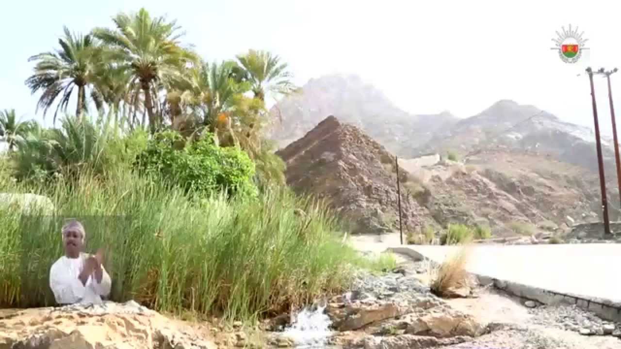قرية 