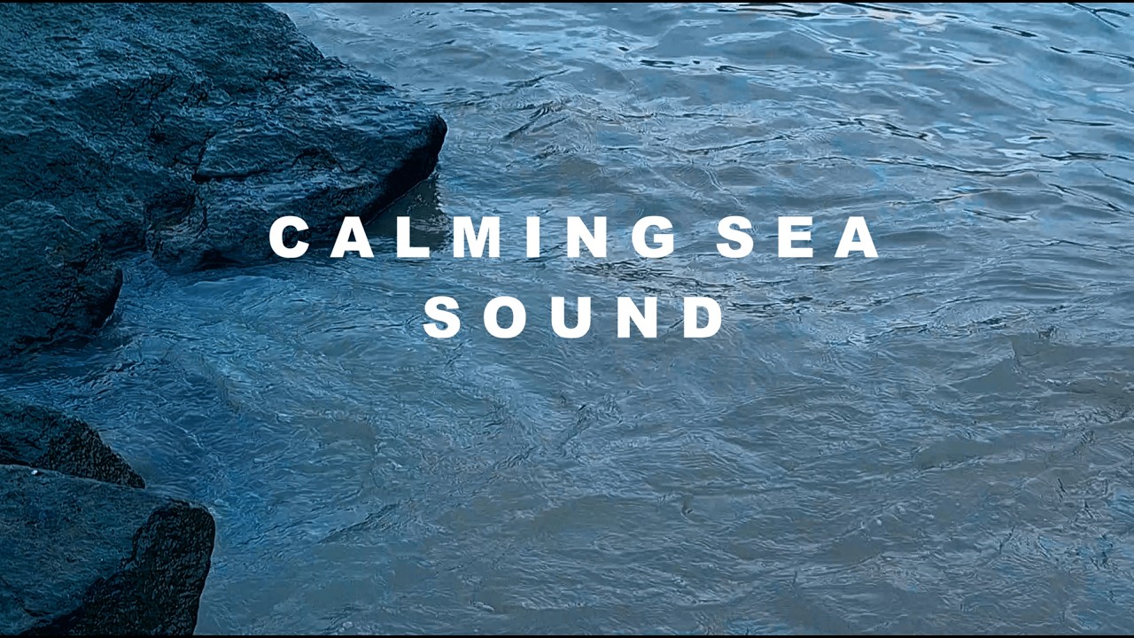 Peaceful Ocean Waves on Rocky Shore | Calming Sea Sounds for Relaxation & Sleep