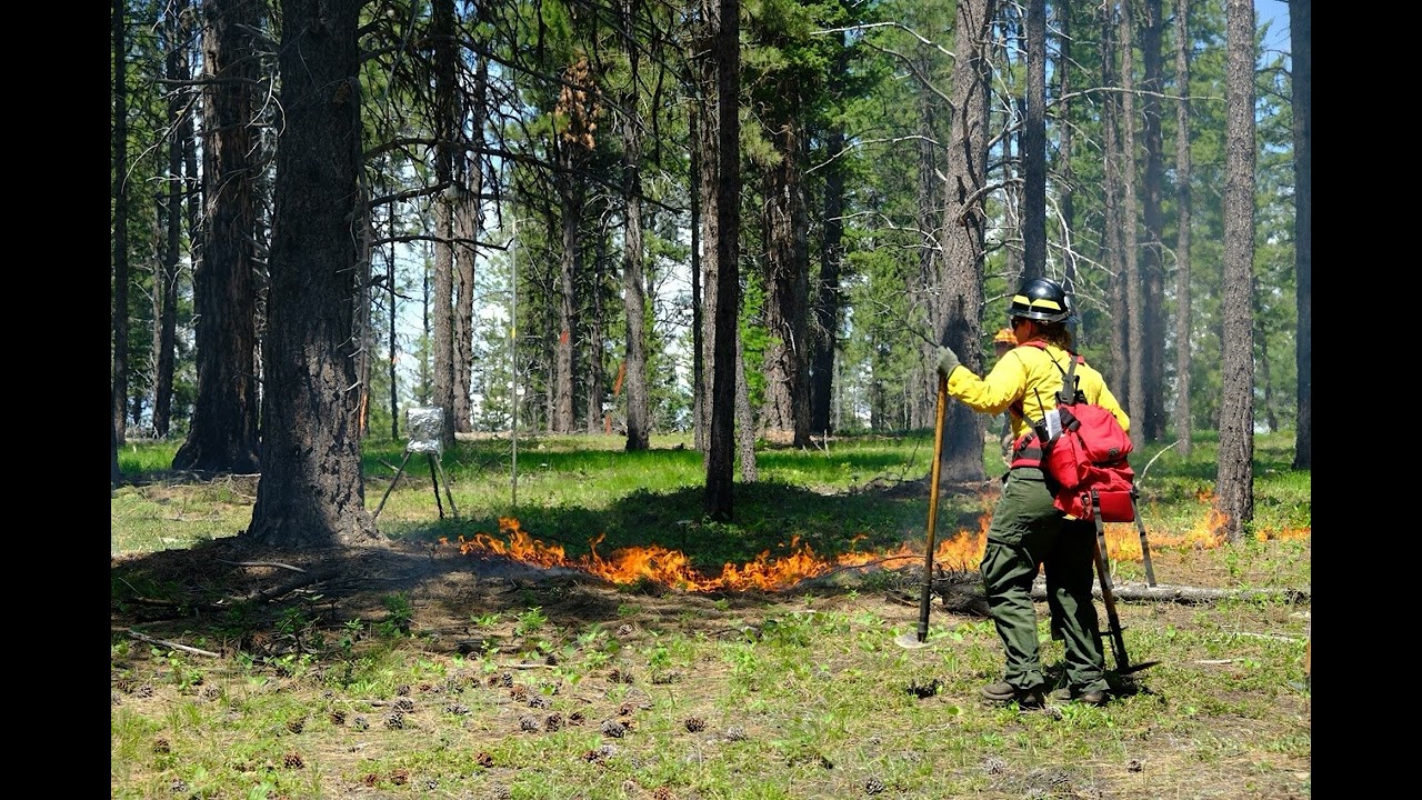 Podcast Episode 1: Prescribed Fire Science