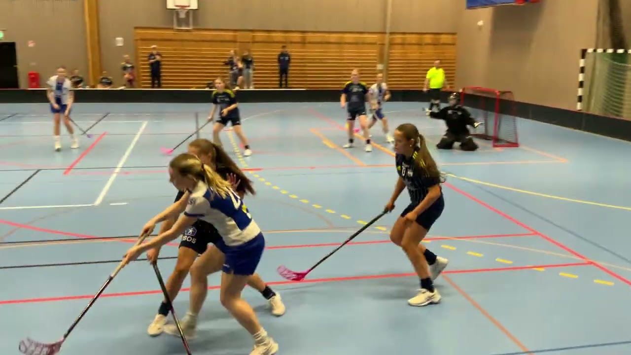 Haninge DJ = Ekerö IK DJ p.2