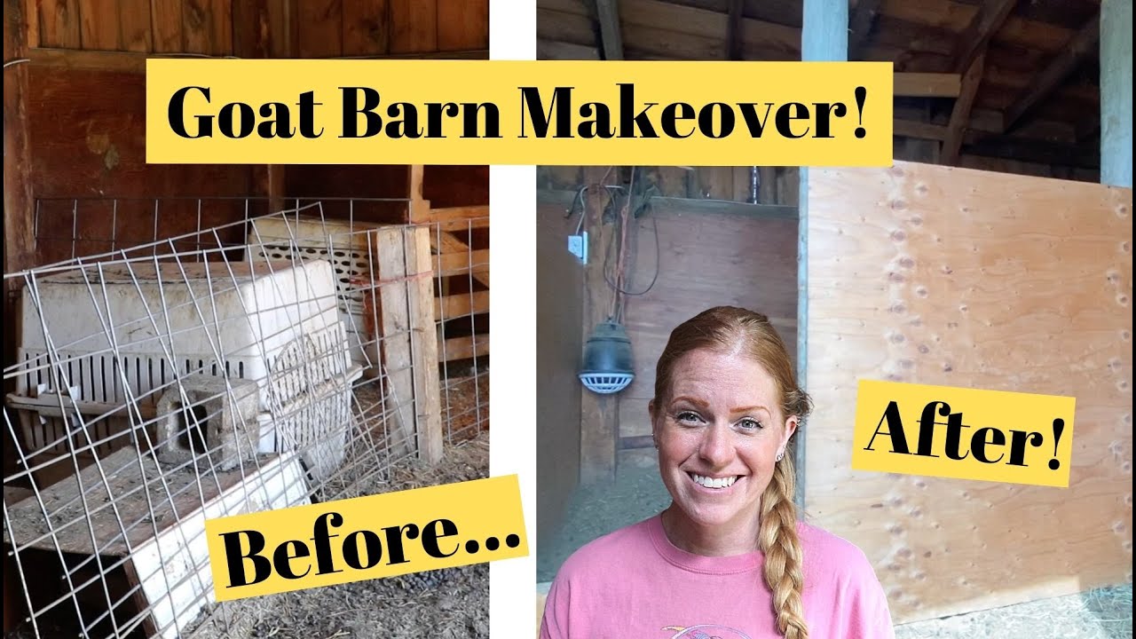NEW Goat Barn Stalls--For Kidding and Weaning! 😍