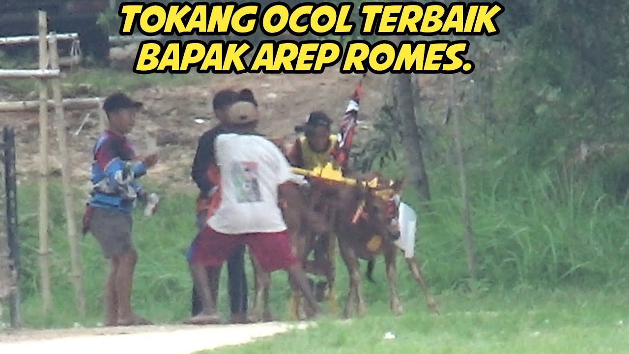 Mon Teng Enteng Paggun Eromes... Ketika Tokang Ocol Terbaik Beraksi Gaes #ArepRomes