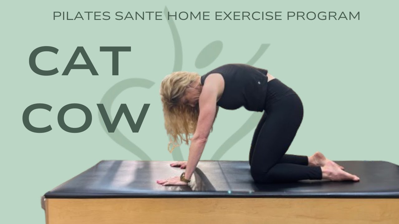 Cat-Cow Pose for Spinal Mobility | Home Exercise Program with Ariel Lehaitre PT & Pilates Instructor