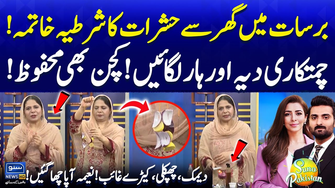 Eliminate Insects From your Home | Try This Magical Home Remedies | Naeema Apa | Suno Pakistan EP638