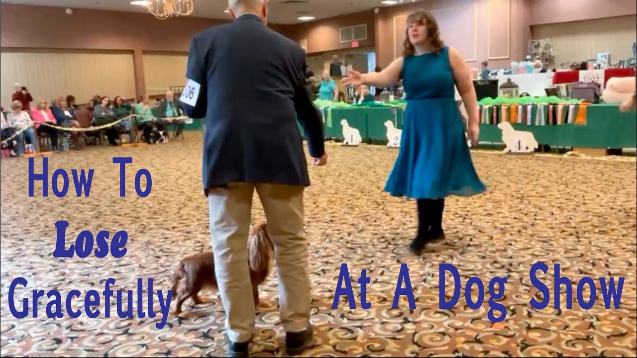 How To Lose Gracefully At A Dog Show