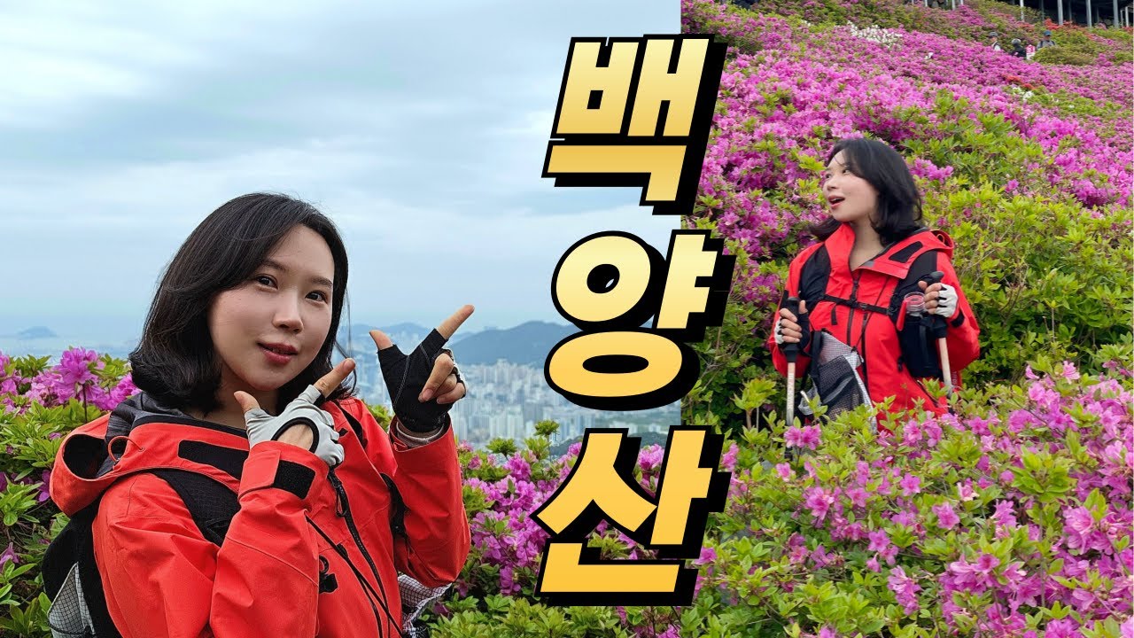 부산 백양산 l 애진봉 철쭉 군락지 l 선암사 주차장 ~ 애진봉 ~ 백양산 정상 l 낙동정맥