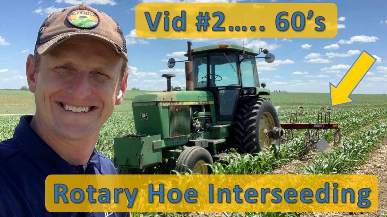 Interseeding 60's w/ a Rotary Hoe....Vid #2 ☘️ 🌽 🌾