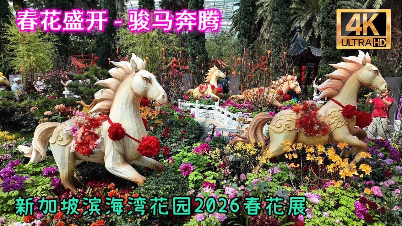 春花盛开之骏马奔腾、新加坡滨海湾花园花穹2026农历马年春花展。Spring Blossoms 2026, Flower Dome, Gardens by the Bay, Singapore.