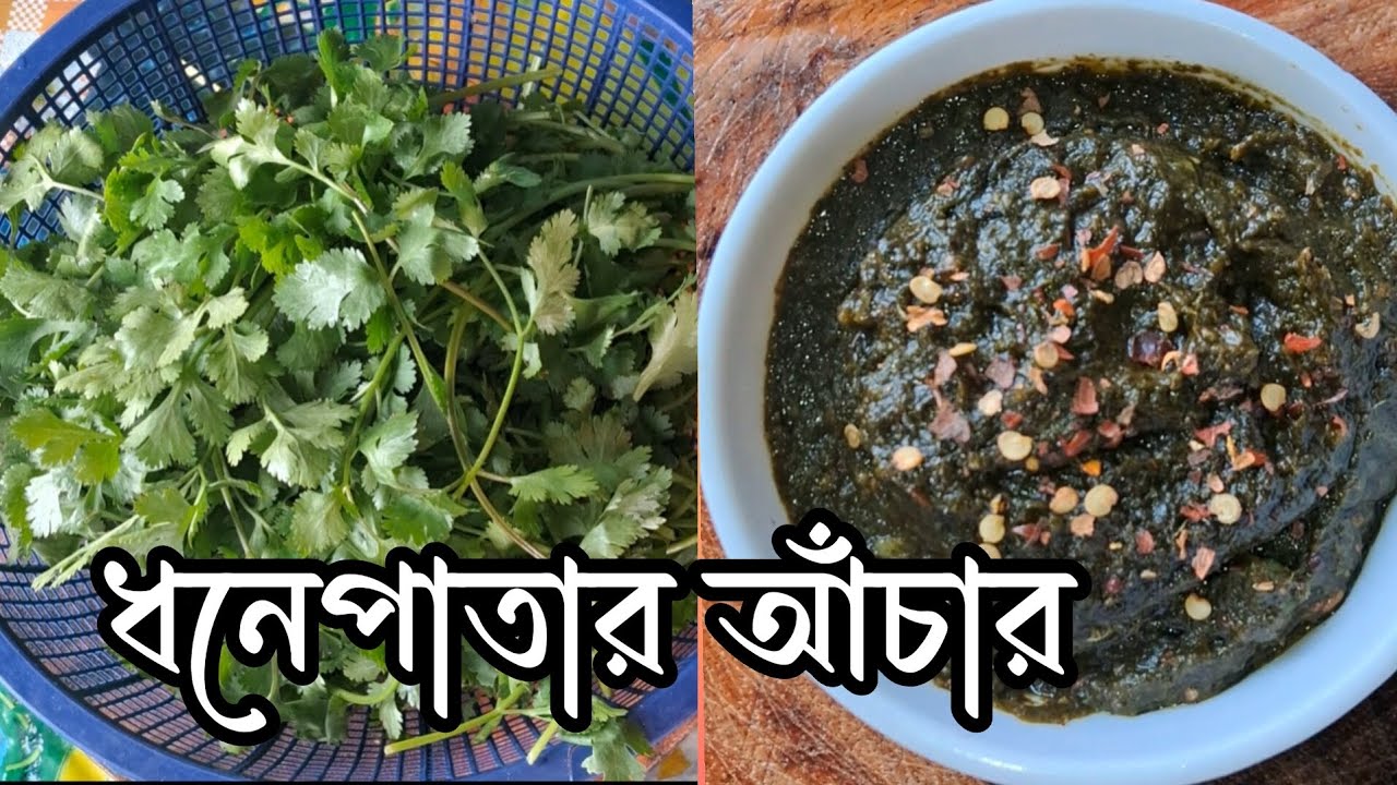 শীতের স্পেশাল ধনেপাতার আচার/ এইভাবে বানিয়ে/ অনেকদিন সংরক্ষণ করে রাখুন  #food  #dhone patar achar 